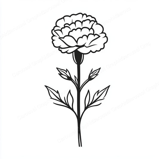Carnation Vector Graphic preview