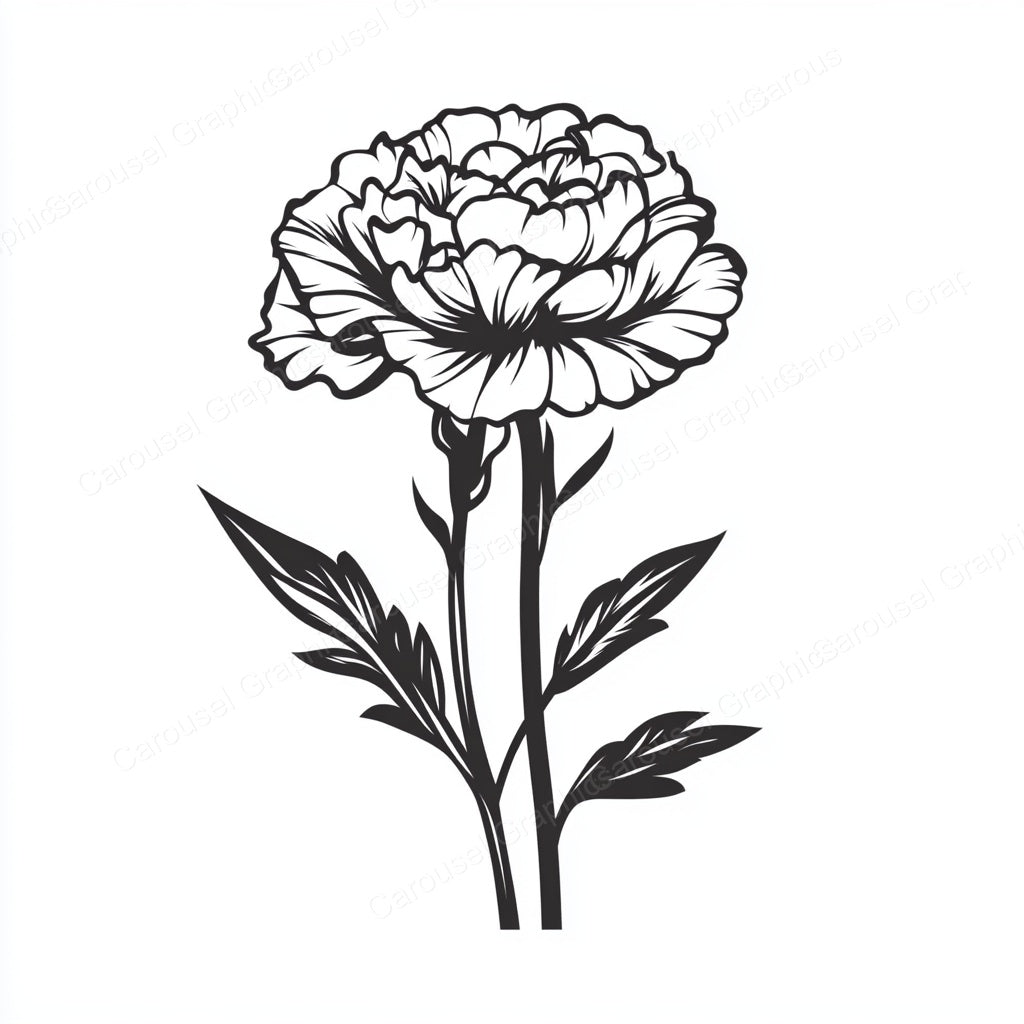 Carnation Vector Graphic preview
