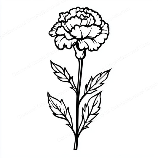 Carnation Vector Graphic preview