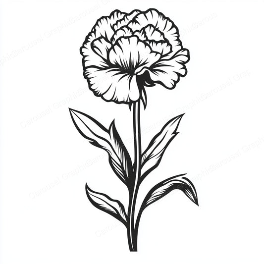 Carnation Vector Graphic preview