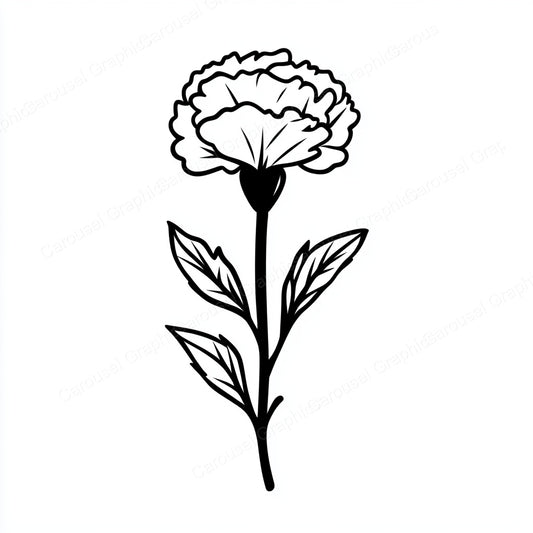 Carnation Vector Graphic preview