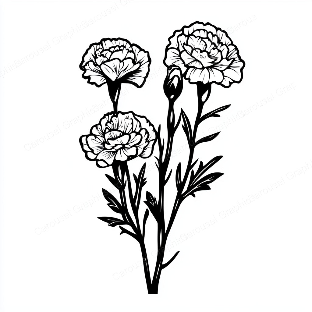 Carnation Vector Graphic preview