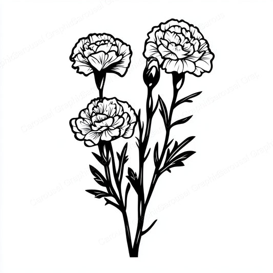 Carnation Vector Graphic preview