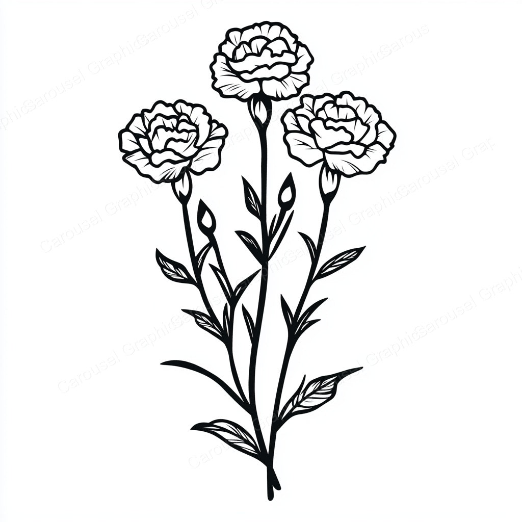 Carnation Vector Graphic preview