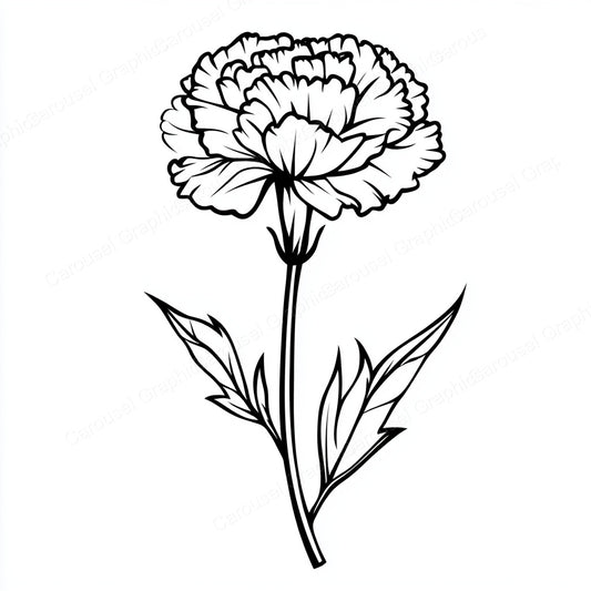 Carnation Vector Graphic preview