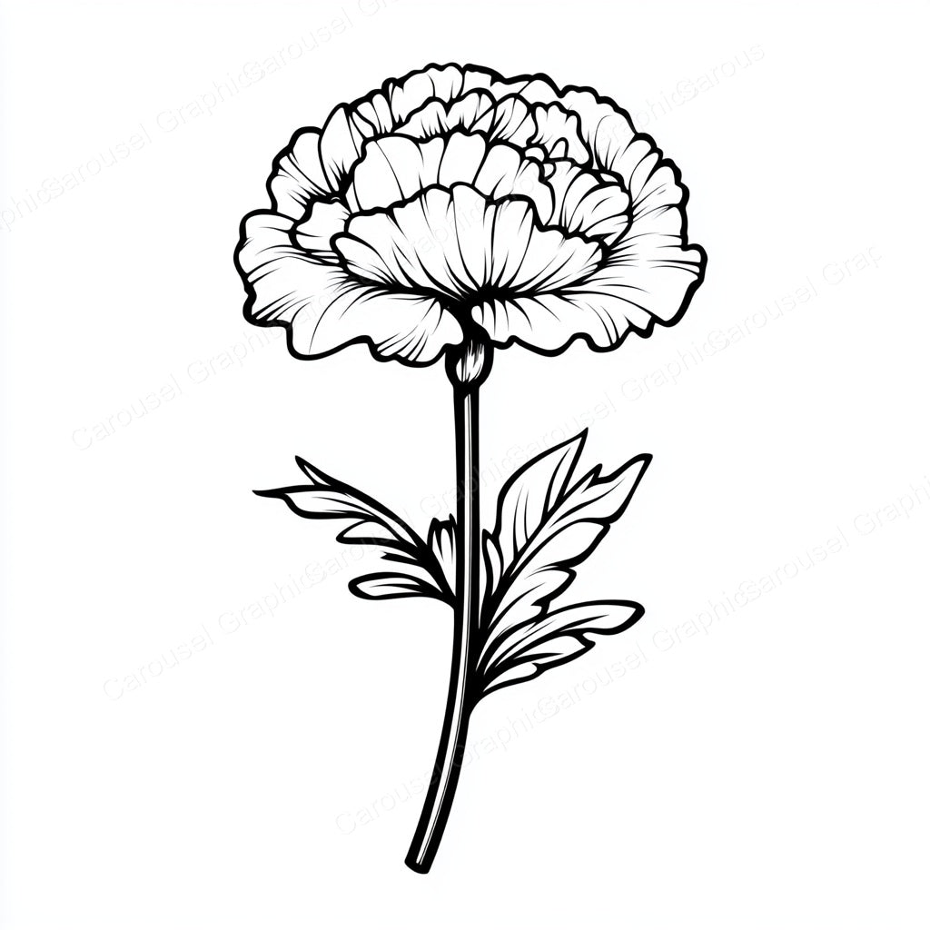 Carnation Vector Graphic preview