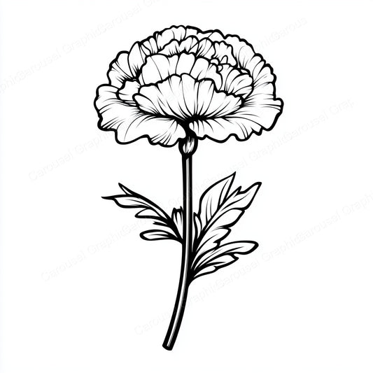 Carnation Vector Graphic preview