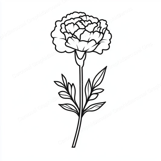 Carnation Vector Graphic preview