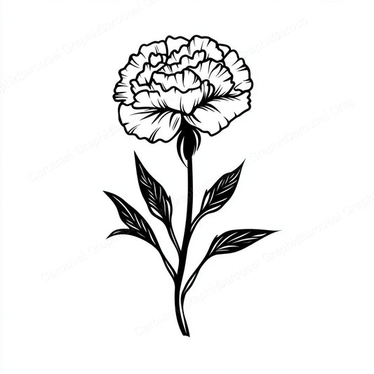 Carnation Vector Graphic preview