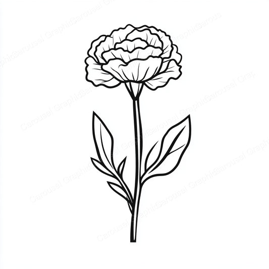 Carnation Vector Graphic preview