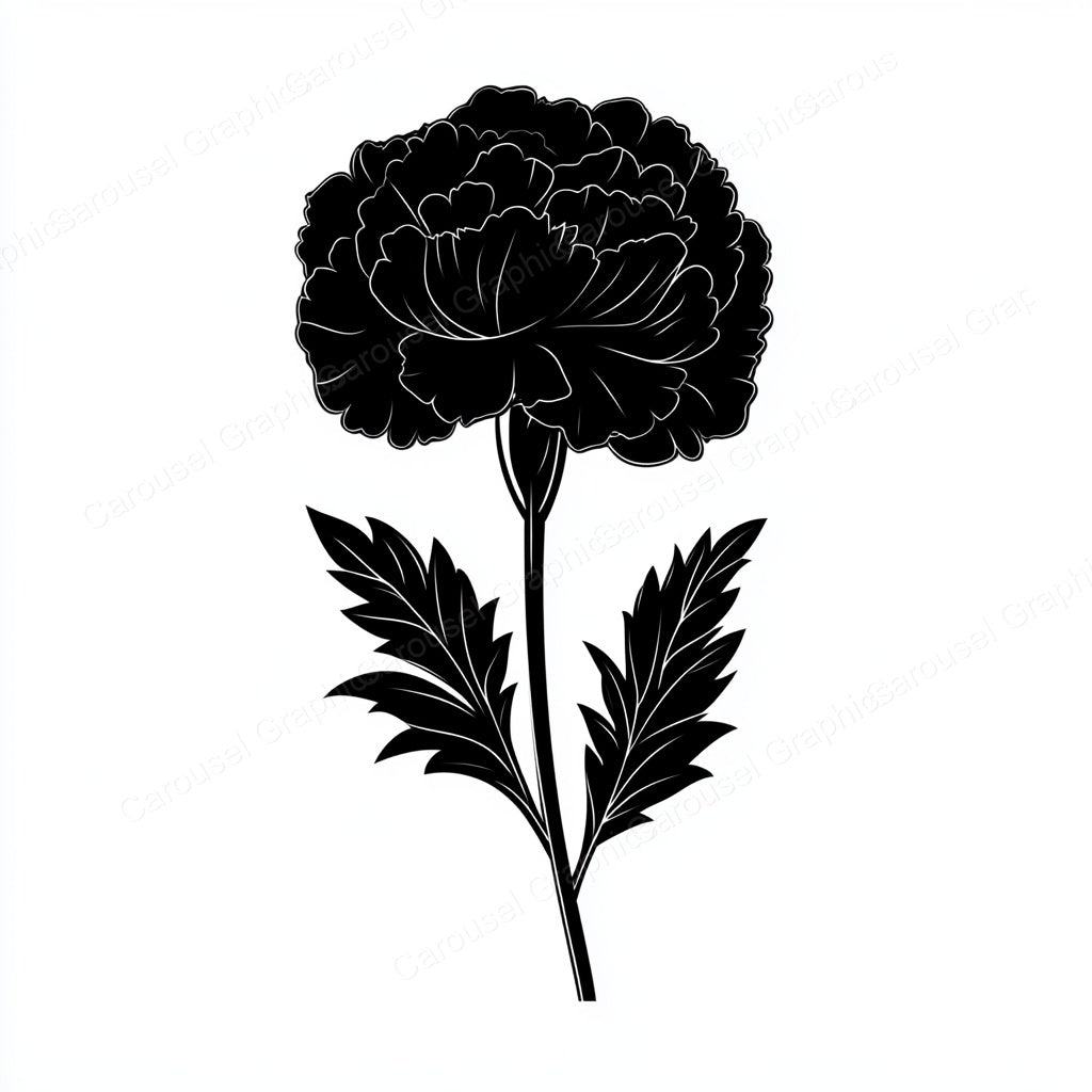 Carnation Vector Graphic preview
