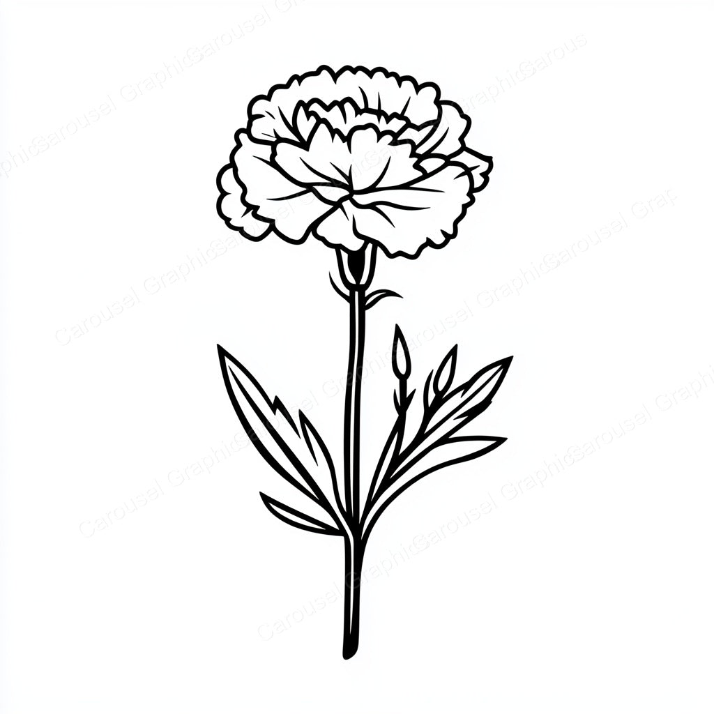 Carnation Vector Graphic preview