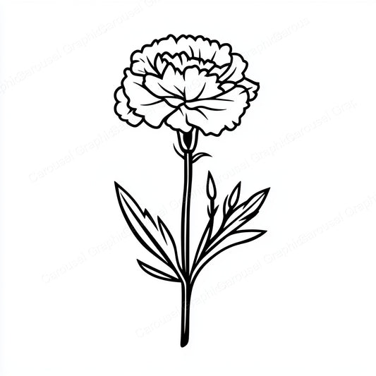 Carnation Vector Graphic preview