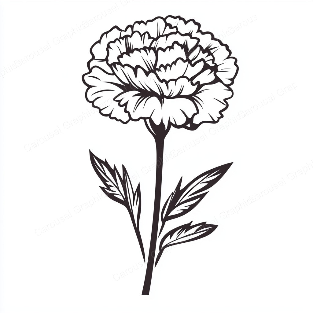 Carnation Vector Graphic preview