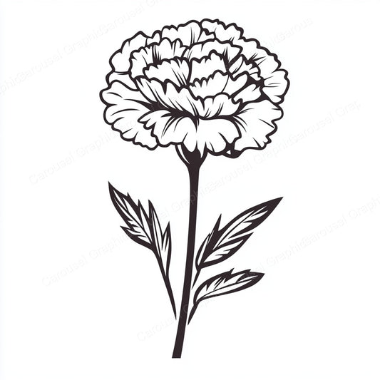 Carnation Vector Graphic preview