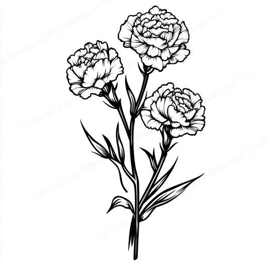 Carnation Vector Graphic preview