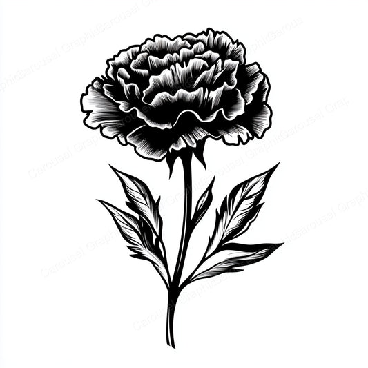 Carnation Vector Graphic preview