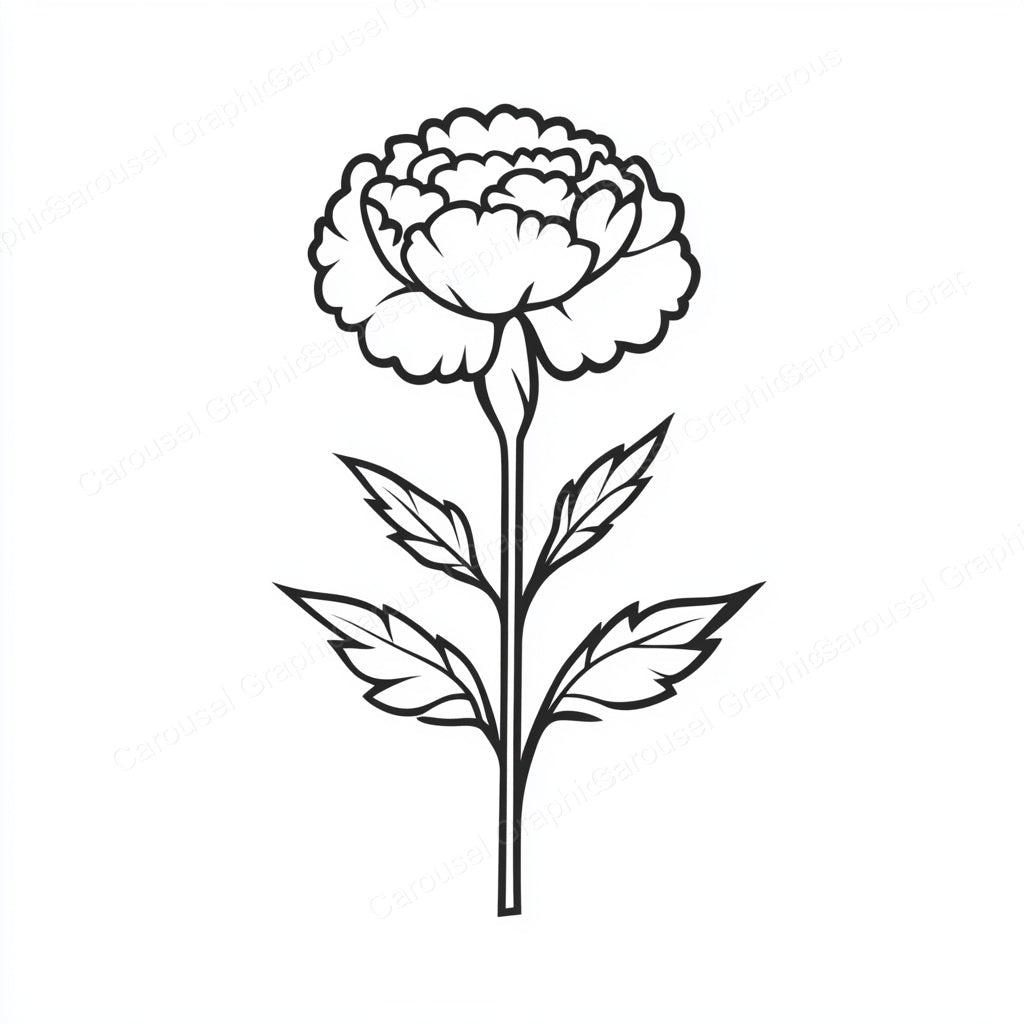 Carnation Vector Graphic preview