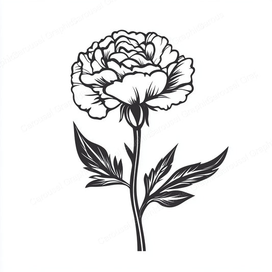 Carnation Vector Graphic preview