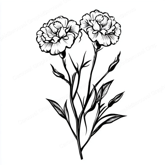 Carnation Vector Graphic preview