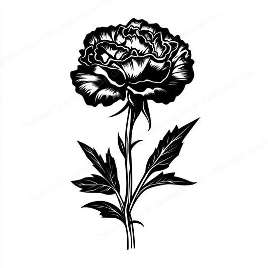 Carnation Vector Graphic preview