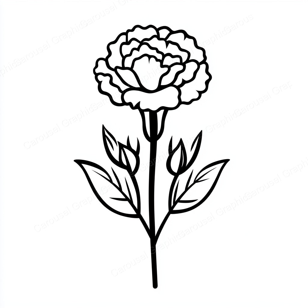 Carnation Vector Graphic preview