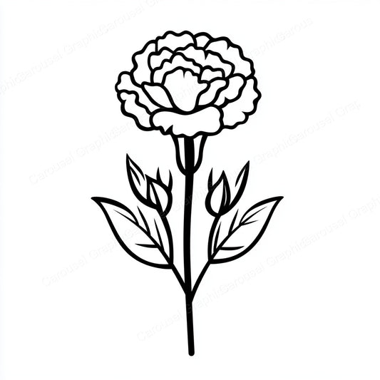 Carnation Vector Graphic preview