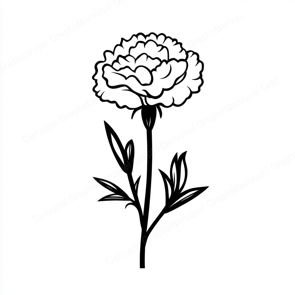 Carnation Vector Graphic preview