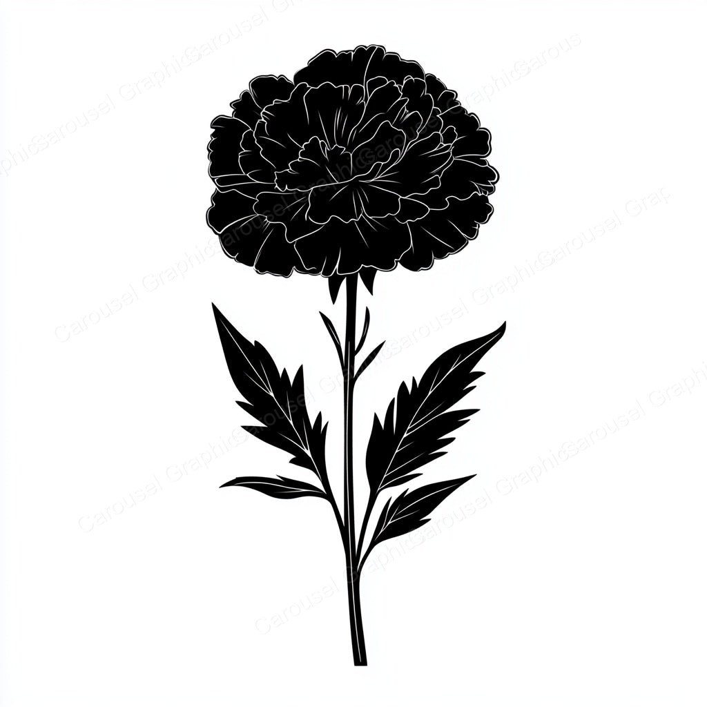 Carnation Vector Graphic preview