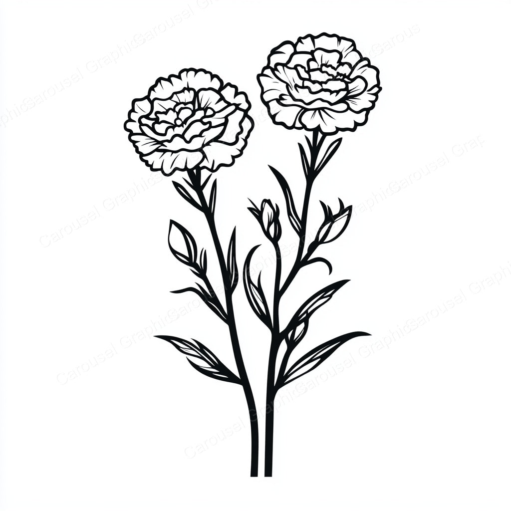 Carnation Vector Graphic preview
