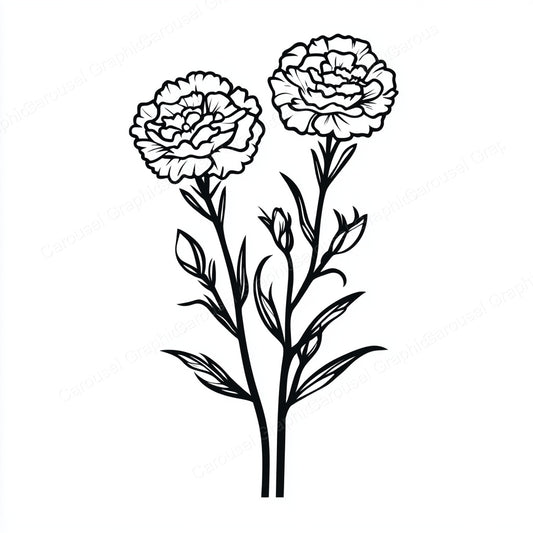 Carnation Vector Graphic preview