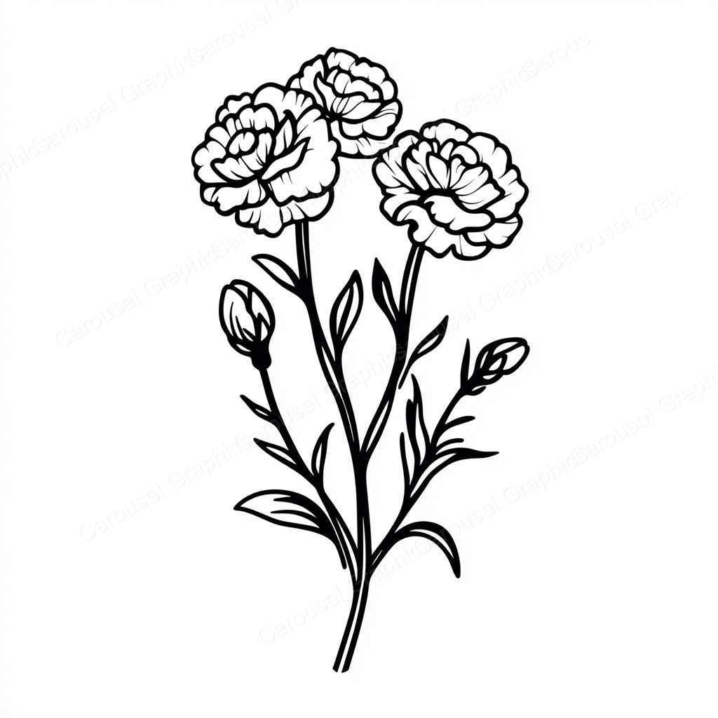 Carnation Vector Graphic preview