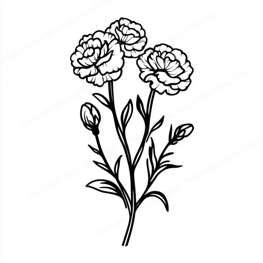 Carnation Vector Graphic preview