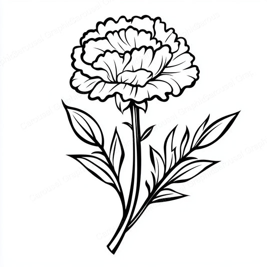 Carnation Vector Graphic preview