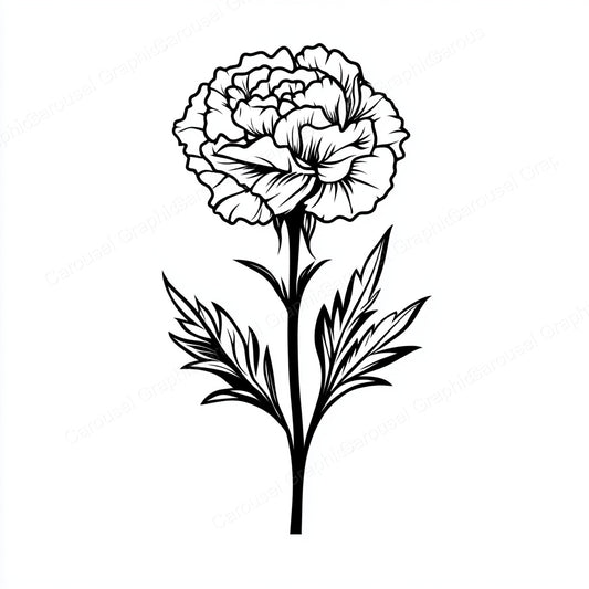 Carnation Vector Graphic preview