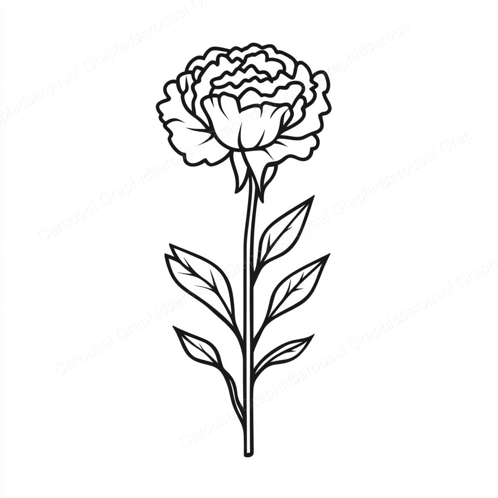 Carnation Vector Graphic preview