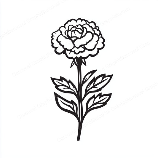 Carnation Vector Graphic preview