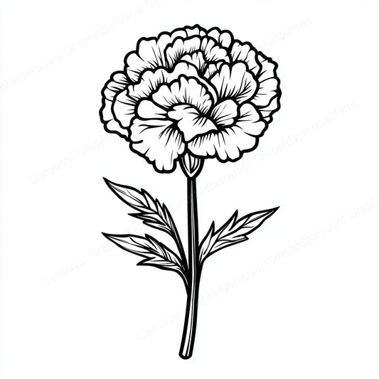Carnation Vector Graphic preview