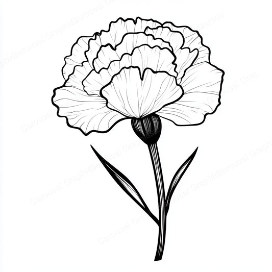 Carnation Vector Graphic preview