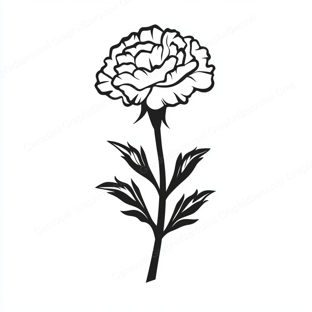 Carnation Vector Graphic preview