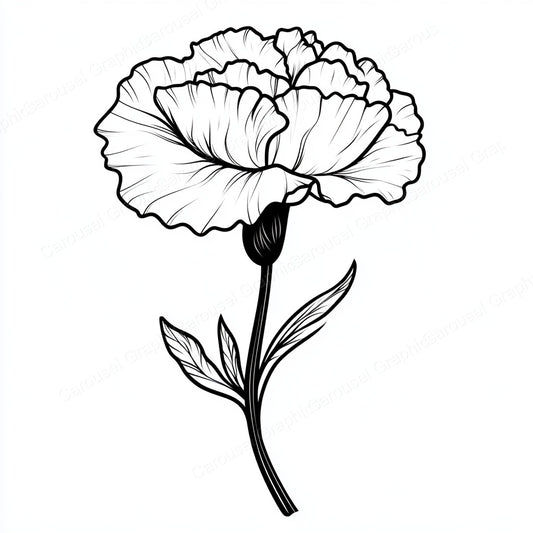 Carnation Vector Graphic preview