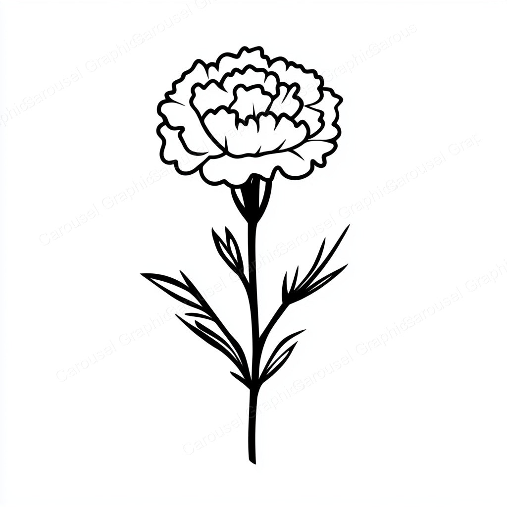 Carnation Vector Graphic preview