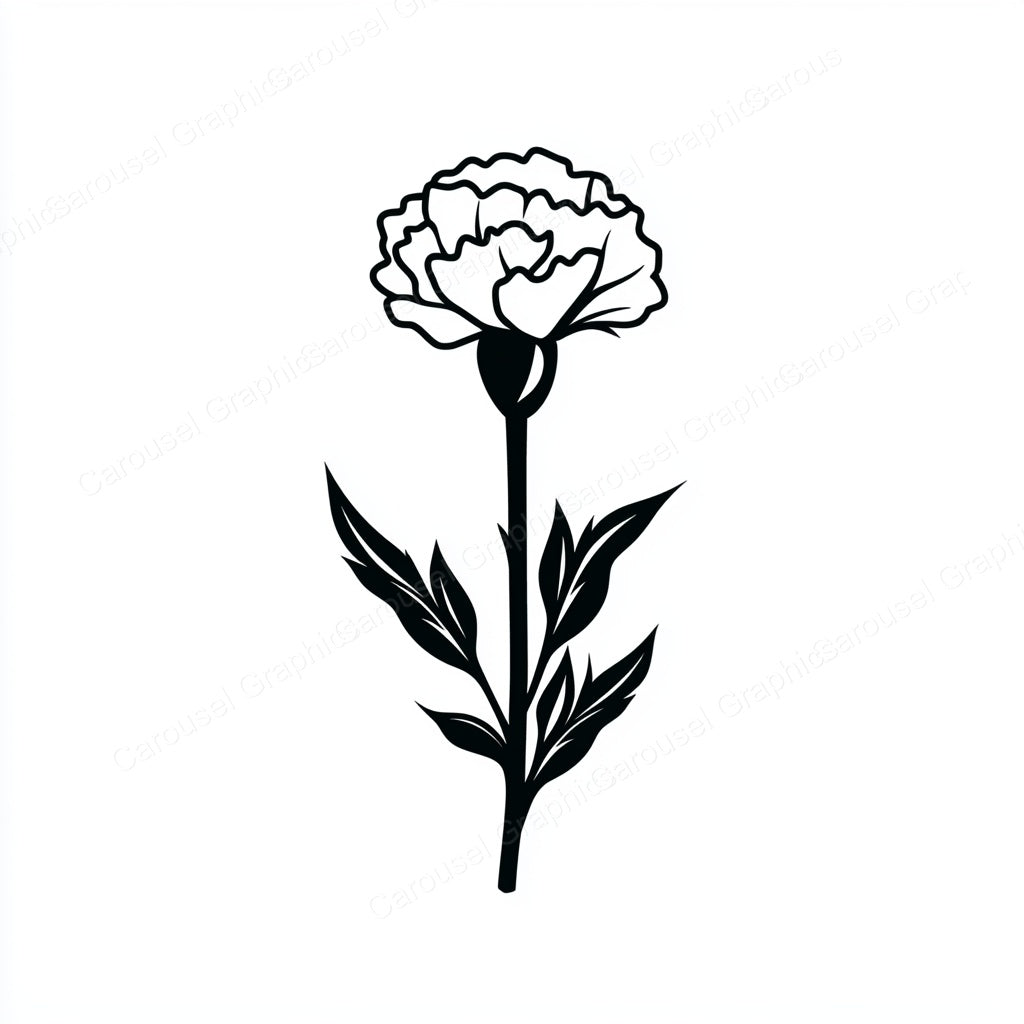 Carnation Vector Graphic preview