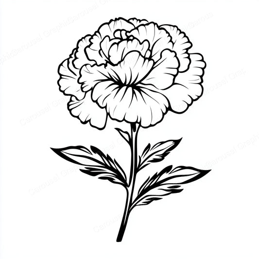 Carnation Vector Graphic preview
