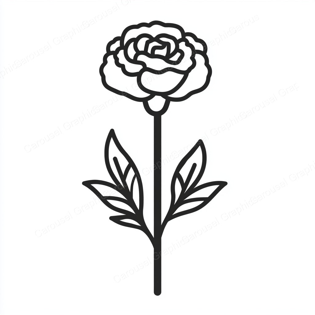 Carnation Vector Graphic preview