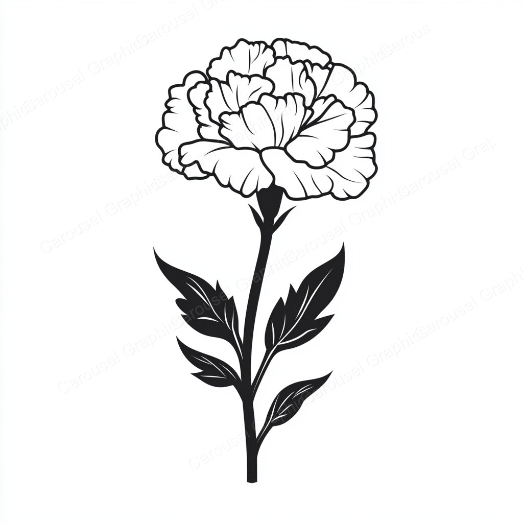 Carnation Vector Graphic preview