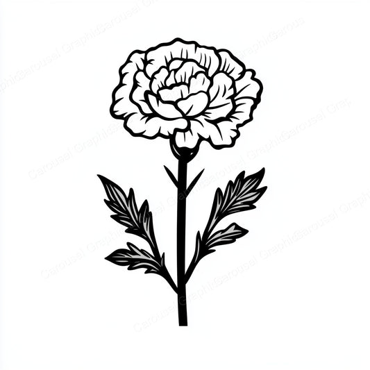 Carnation Vector Graphic preview