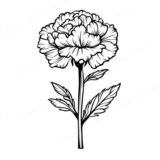 Carnation Vector Graphic preview