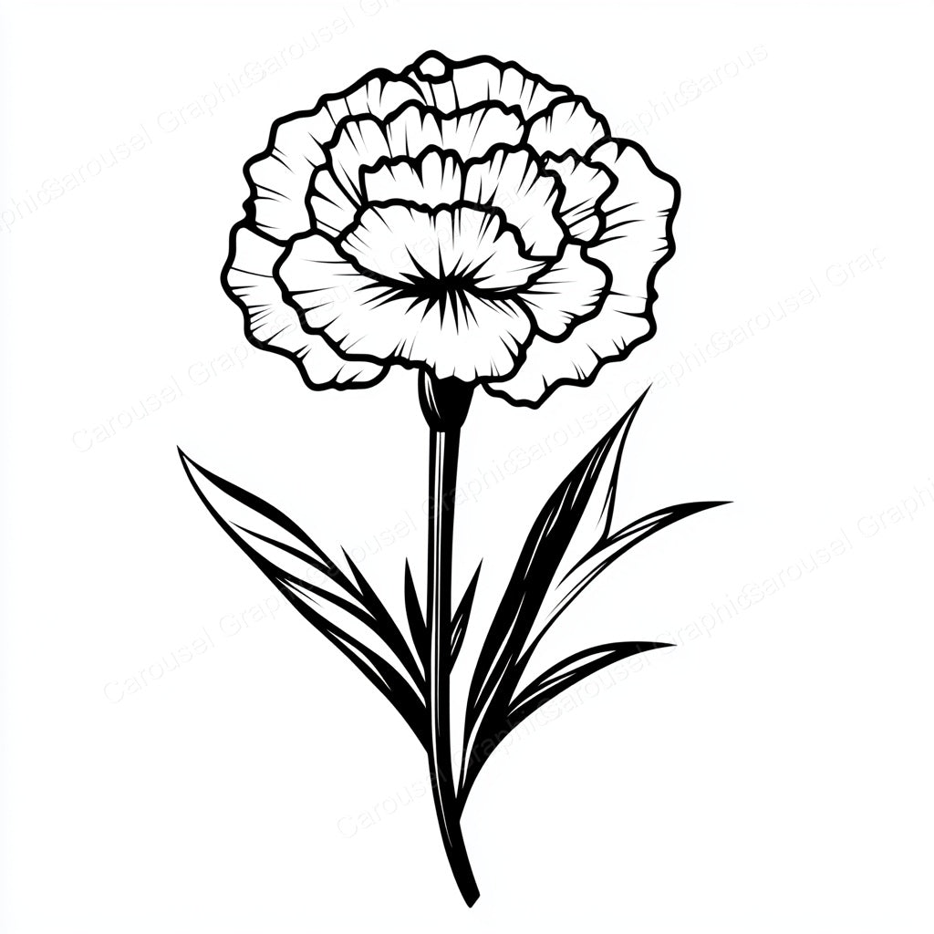 Carnation Vector Graphic preview