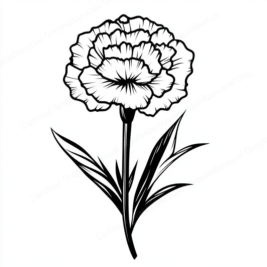 Carnation Vector Graphic preview